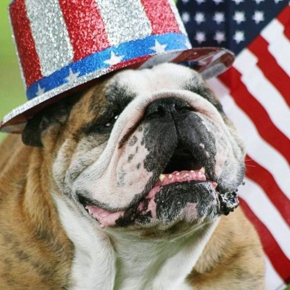 Meet your Posher, Krista - Picture 1 of 1